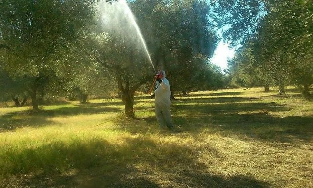 Κρήτη: Νεκρός 48χρονος εργάτης κατά την διάρκεια ψεκασμού